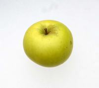 Æblesort Golden Noble